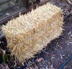straw bale garden